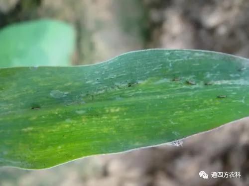 הQôkץoQӰ푮a(chn)!!!