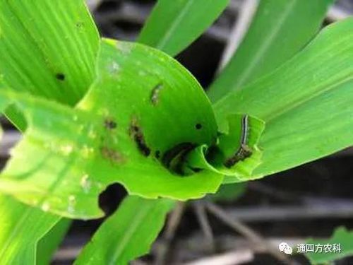 הQôkץoQӰ푮a(chn)!!!