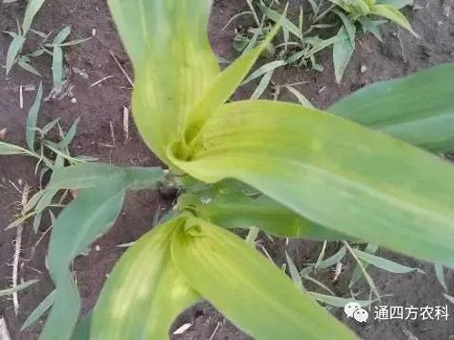 הQôkץoQӰ푮a(chn)!!!